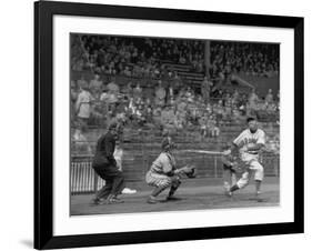 Seattle Rainiers at bat Photograph - Seattle, WA-Lantern Press-Framed Art Print