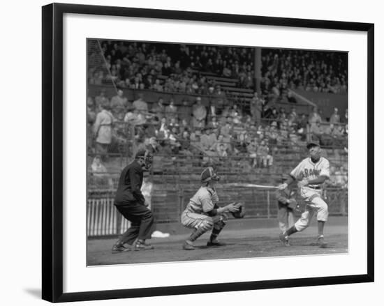 Seattle Rainiers at bat Photograph - Seattle, WA-Lantern Press-Framed Art Print