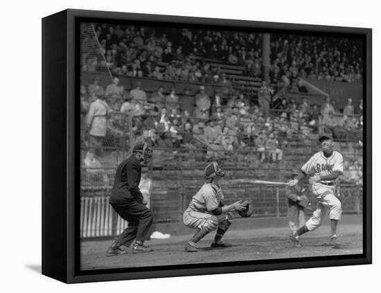 Seattle Rainiers at bat Photograph - Seattle, WA-Lantern Press-Framed Stretched Canvas