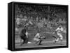 Seattle Rainiers at bat Photograph - Seattle, WA-Lantern Press-Framed Stretched Canvas