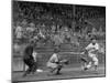 Seattle Rainiers at bat Photograph - Seattle, WA-Lantern Press-Mounted Art Print