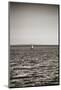 Seattle, Sailboat in Elliott Bay-Savanah Stewart-Mounted Photographic Print