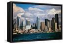 Framed Canvas