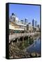 Seattle skyline and restaurants on sunny day in Bell Harbor Marina, Seattle, Washington State, Unit-Frank Fell-Framed Stretched Canvas