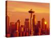 Seattle Skyline and Space Needle, Washington, USA-Terry Eggers-Stretched Canvas