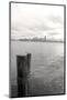 Seattle skyline from Alki, Seattle, Washington State, USA-Savanah Stewart-Mounted Photographic Print