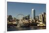 Seattle Skyline, Washington, USA-Michele Benoy Westmorland-Framed Photographic Print