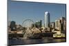 Seattle Skyline, Washington, USA-Michele Benoy Westmorland-Mounted Photographic Print