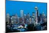 Seattle Skyline, Washington USA-sorincolac-Mounted Photographic Print