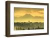 Seattle Space Needle and Olympic Mountains beyond, seen from downtown Bellevue, WA, USA-Stuart Westmorland-Framed Photographic Print