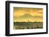 Seattle Space Needle and Olympic Mountains beyond, seen from downtown Bellevue, WA, USA-Stuart Westmorland-Framed Photographic Print