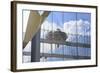 Seattle Space Needle Reflections, Seattle Center, Wa-Stuart Westmorland-Framed Photographic Print