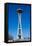 Seattle Space Needle-Andy777-Framed Stretched Canvas