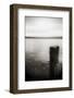 Seattle, View from Alki Beach-Savanah Stewart-Framed Photographic Print