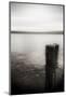 Seattle, View from Alki Beach-Savanah Stewart-Mounted Photographic Print