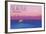Seattle, Washington - Ferry and Purple Sunset-Lantern Press-Framed Art Print
