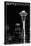 Seattle, Washington - Space Needle and Skyline at Night-Lantern Press-Stretched Canvas