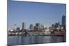 Seattle Waterfront with the Great Wheel on Pier 57, Seattle, Washington, USA-Charles Sleicher-Mounted Photographic Print