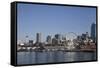 Seattle Waterfront with the Great Wheel on Pier 57, Seattle, Washington, USA-Charles Sleicher-Framed Stretched Canvas