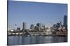 Seattle Waterfront with the Great Wheel on Pier 57, Seattle, Washington, USA-Charles Sleicher-Stretched Canvas