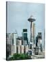 Seattle-David Dauncey-Stretched Canvas