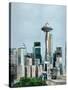 Seattle-David Dauncey-Stretched Canvas