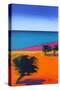 Seaview-Paul Powis-Stretched Canvas