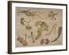 Seaweed, 1992-Carolyn Hubbard-Ford-Framed Giclee Print