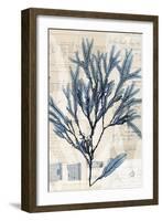 Seaweed Arrangement I-Vision Studio-Framed Art Print