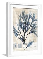 Seaweed Arrangement I-Vision Studio-Framed Art Print