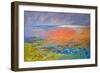 Seaweed, Barra, c.1971-Isabel Alexander-Framed Giclee Print