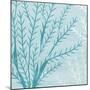 Seaweed Blue 2-Kimberly Allen-Mounted Art Print