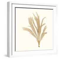 Seaweed Collection IV-Vision Studio-Framed Art Print