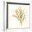 Seaweed Collection IV-Vision Studio-Framed Art Print