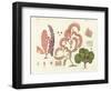 Seaweed, Different Kinds-null-Framed Giclee Print