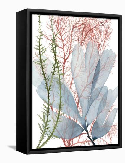 Seaweed Flow I-Grace Popp-Framed Stretched Canvas