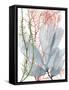 Seaweed Flow I-Grace Popp-Framed Stretched Canvas