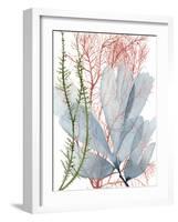 Seaweed Flow I-Grace Popp-Framed Art Print