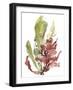 Seaweed Garden I-Jennifer Goldberger-Framed Art Print