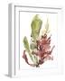 Seaweed Garden I-Jennifer Goldberger-Framed Art Print