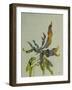 Seaweed II-Kari Taylor-Framed Giclee Print