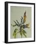 Seaweed II-Kari Taylor-Framed Giclee Print