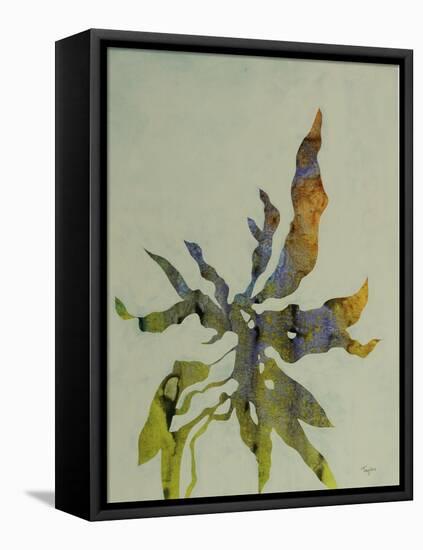 Seaweed II-Kari Taylor-Framed Stretched Canvas