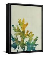 Seaweed IV-Kari Taylor-Framed Stretched Canvas