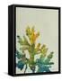 Seaweed IV-Kari Taylor-Framed Stretched Canvas