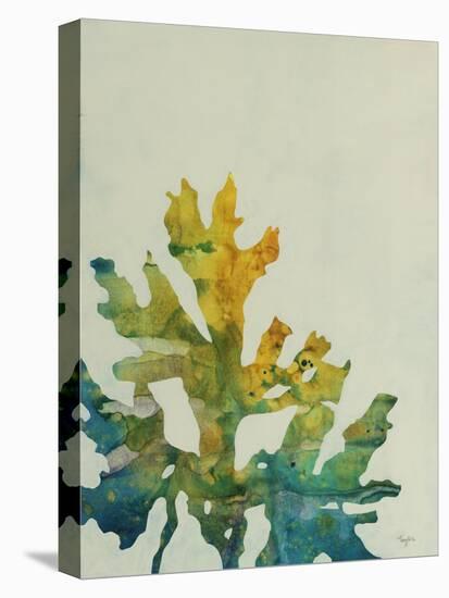 Seaweed IV-Kari Taylor-Stretched Canvas