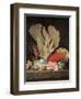 Seaweed, Lithophytes and Seashells-Anne Vallayer-coster-Framed Giclee Print