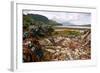 Seaweed Near Eilean Donan Castle, Highland, Scotland-Peter Thompson-Framed Photographic Print