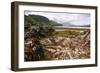 Seaweed Near Eilean Donan Castle, Highland, Scotland-Peter Thompson-Framed Photographic Print