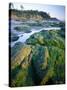 Seaweed on Rocks During Low Tide Near Cape Alava, Olympic National Park, Washington, USA-Scott T. Smith-Stretched Canvas